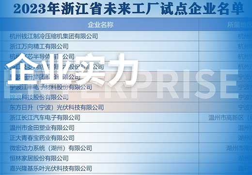 立智能制造标杆 东方日升上榜浙江2023年未来工厂试点企业名单