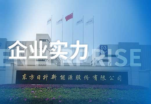 东方日升首次登榜“中国民营企业500强”、蝉联“中国民营企业制造业500强”